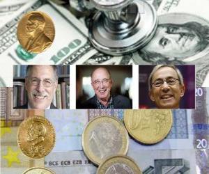 yapboz Ekonomi 2010 yılında Nobel Ödülü - Peter A. Elmas, Dale T. Mortensen ve Christopher A. Pissarides -